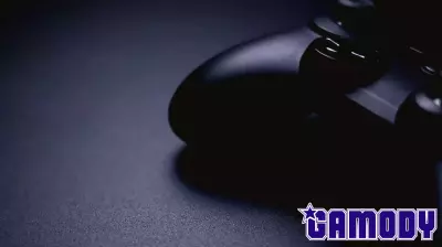 Repeat Offender Faces New Charges in Video Game Console Theft
